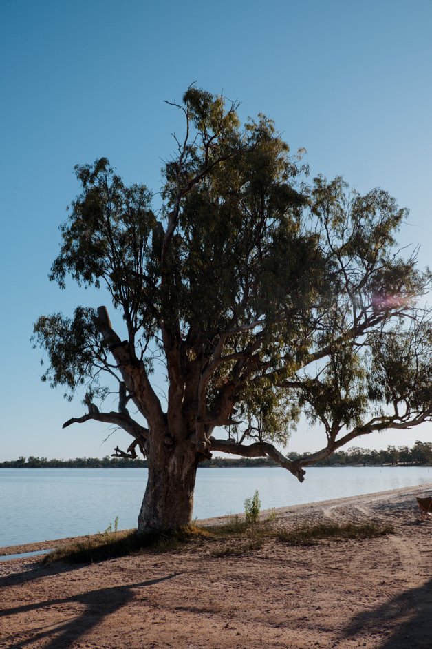 jana meerman lake benanee australia-4