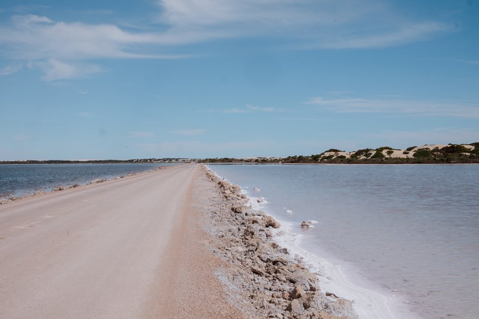 jana meerman lake macdonnell pink salt lake nullarbor australia-02