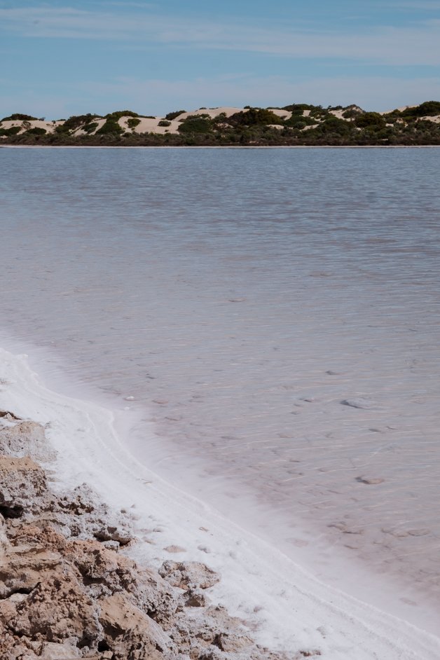 jana meerman lake macdonnell pink salt lake nullarbor australia-02