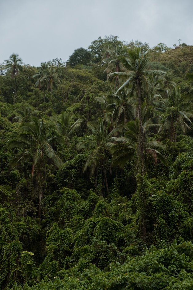 jana meerman rarotonga cook islands-6