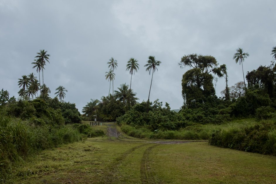 jana meerman rarotonga cook islands-6
