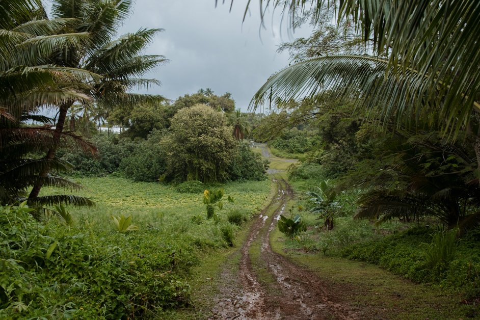 jana meerman rarotonga cook islands-6