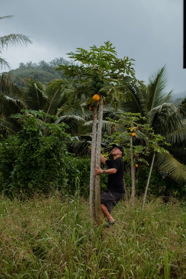 jana meerman rarotonga cook islands-6