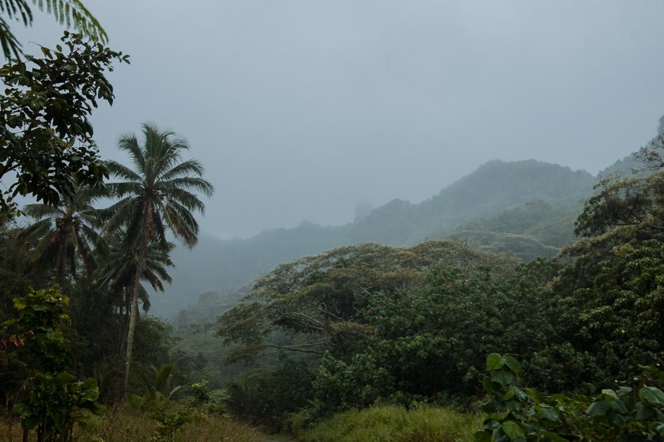 jana meerman rarotonga cook islands-6
