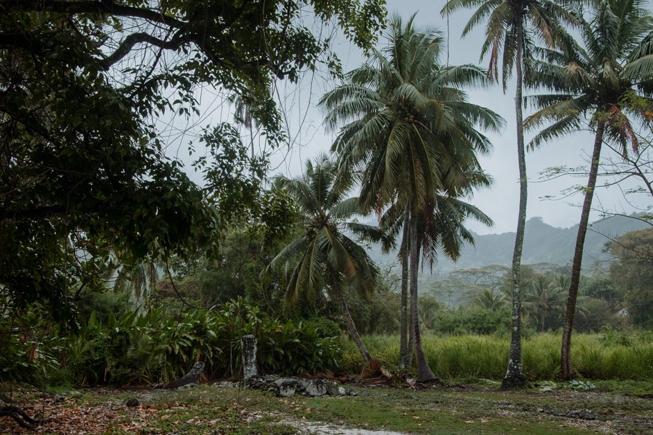 jana meerman rarotonga cook islands-6