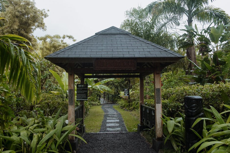 jana meerman rarotonga cook islands-32