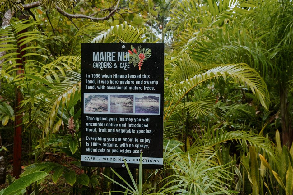 jana meerman rarotonga cook islands-32