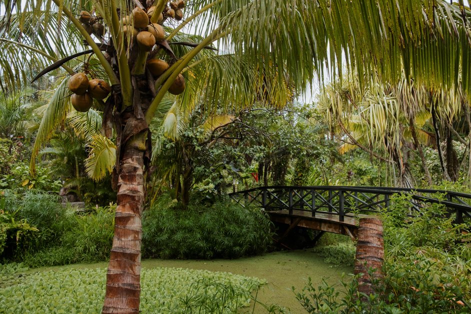 jana meerman rarotonga cook islands-32