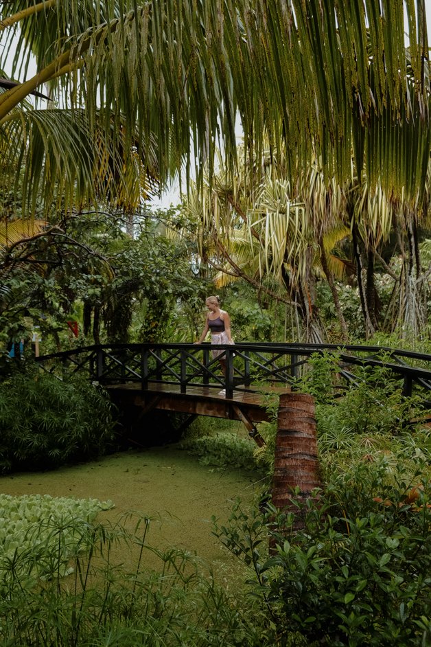 jana meerman rarotonga cook islands-32