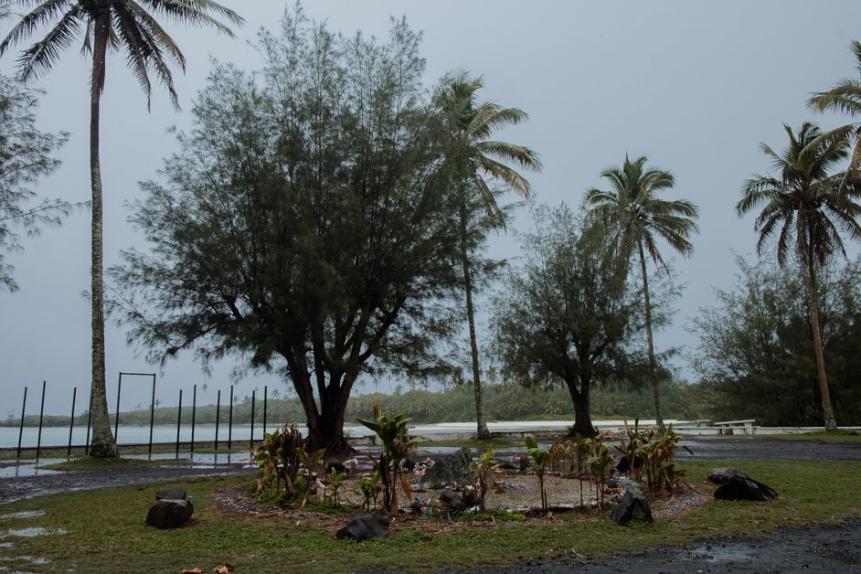 jana meerman rarotonga cook islands-6