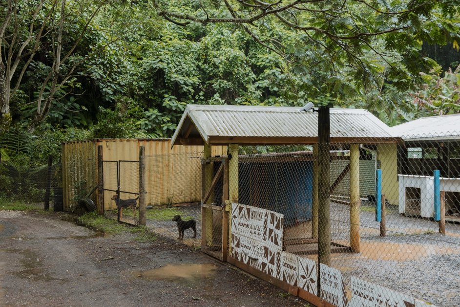 jana meerman rarotonga cook islands-6