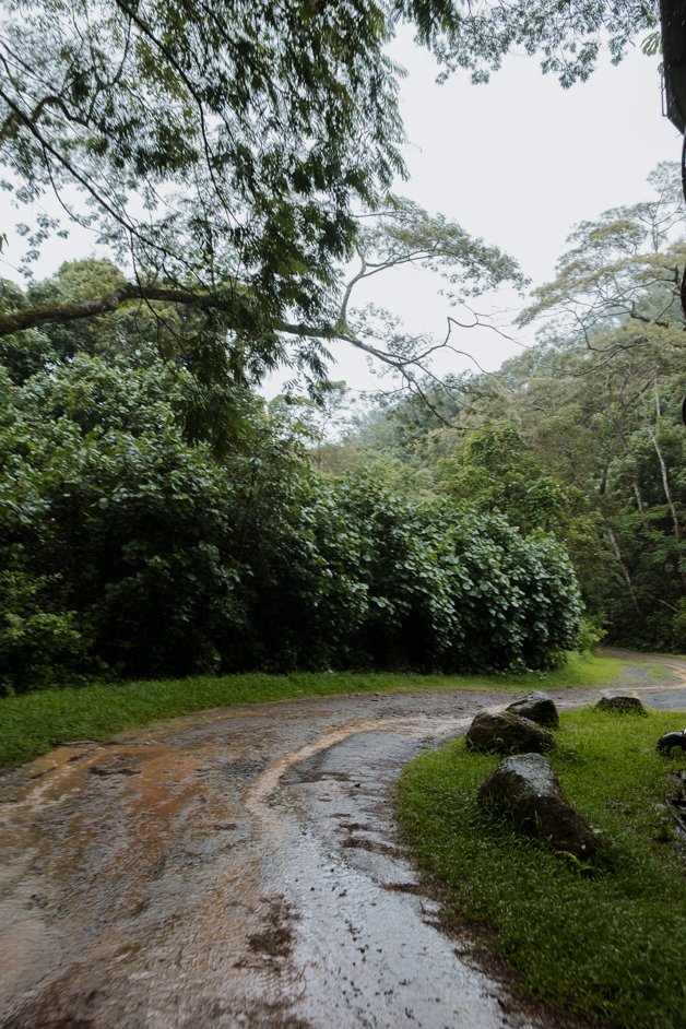 jana meerman rarotonga cook islands-6