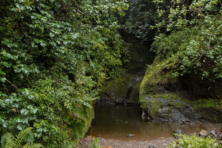 jana meerman rarotonga cook islands-6