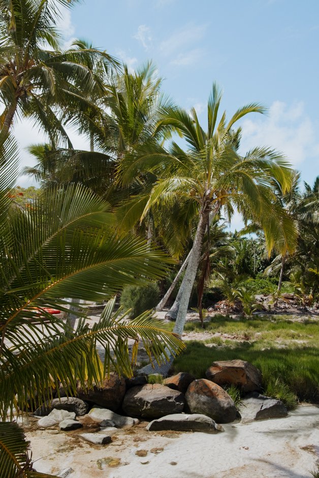 jana meerman rarotonga cook islands-7