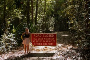 jana meerman red crab christmas island-1