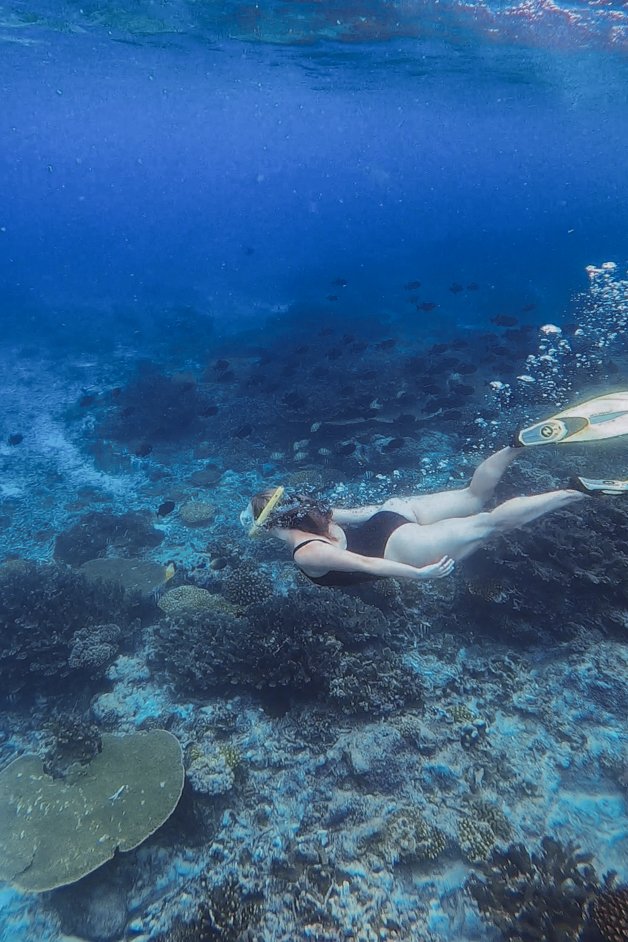 jana meerman snorkeling christmas island