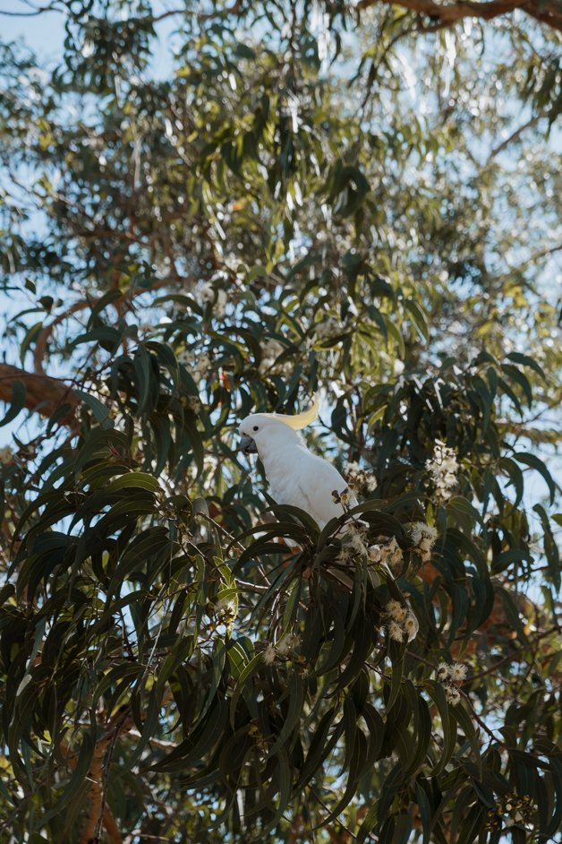 jana meerman warragamba sydney australia-04