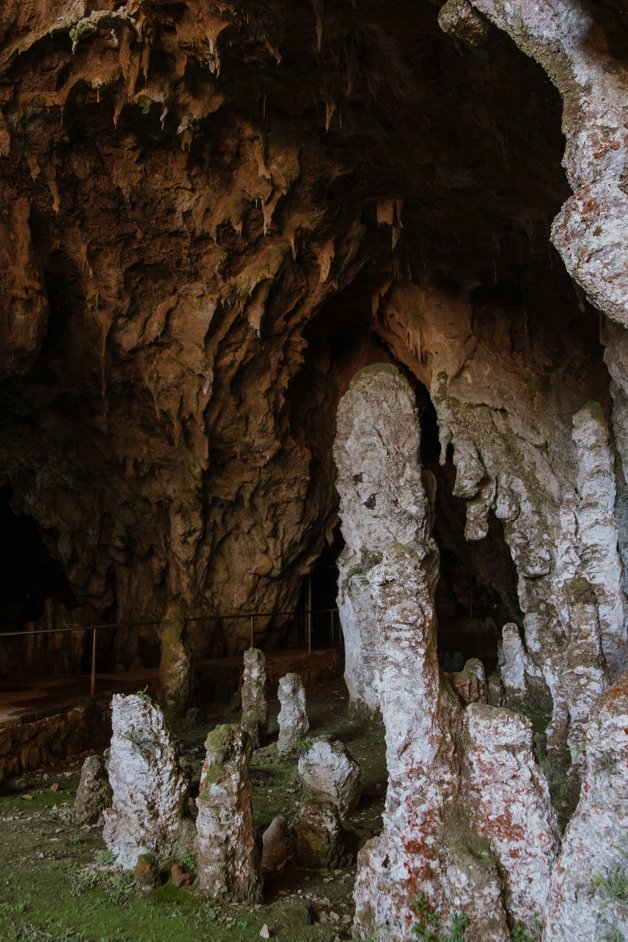 jana meerman yarrangobilly caves snowy mountains australia-11
