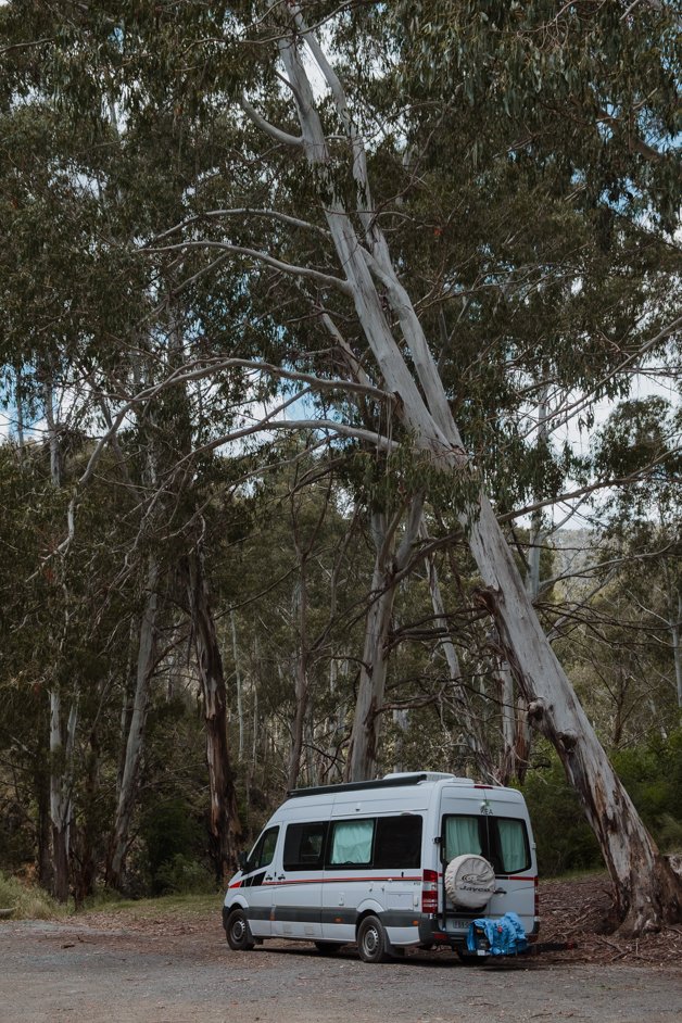 jana meerman yarrangobilly caves snowy mountains australia-38