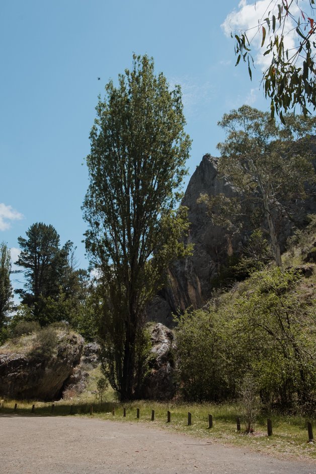 jana meerman yarrangobilly caves snowy mountains australia-38