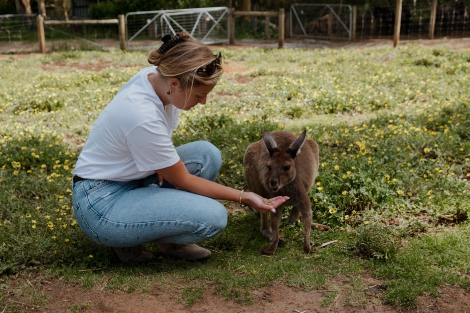 jana meerman denmark animal farm kangaroo australia