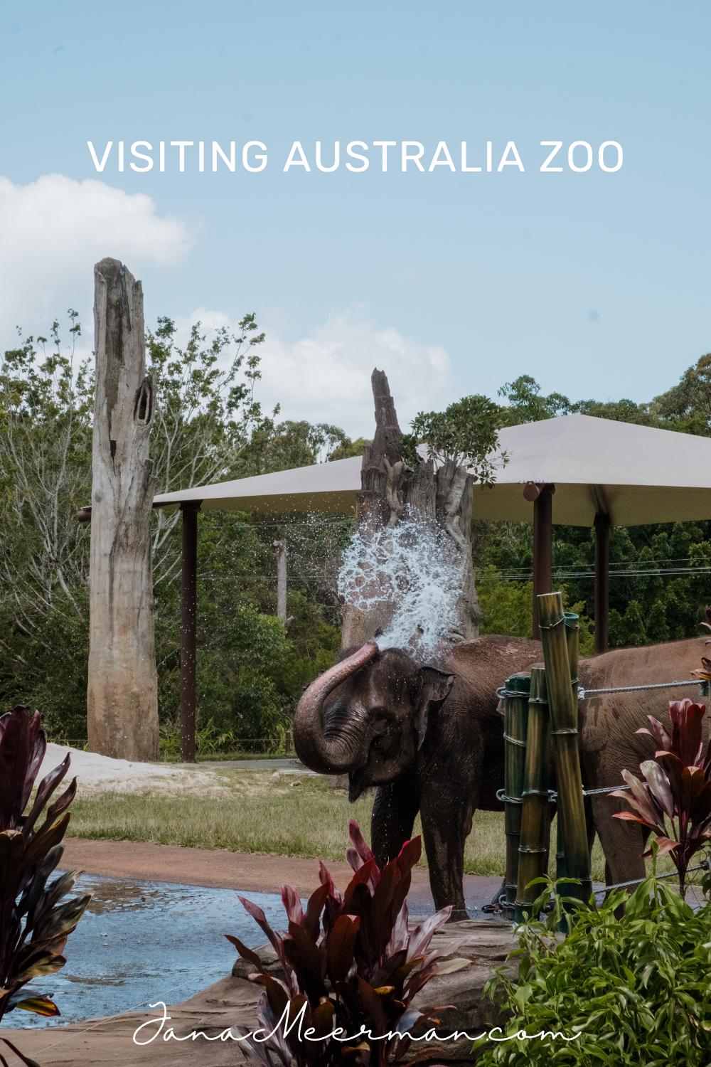 australia zoo (3)