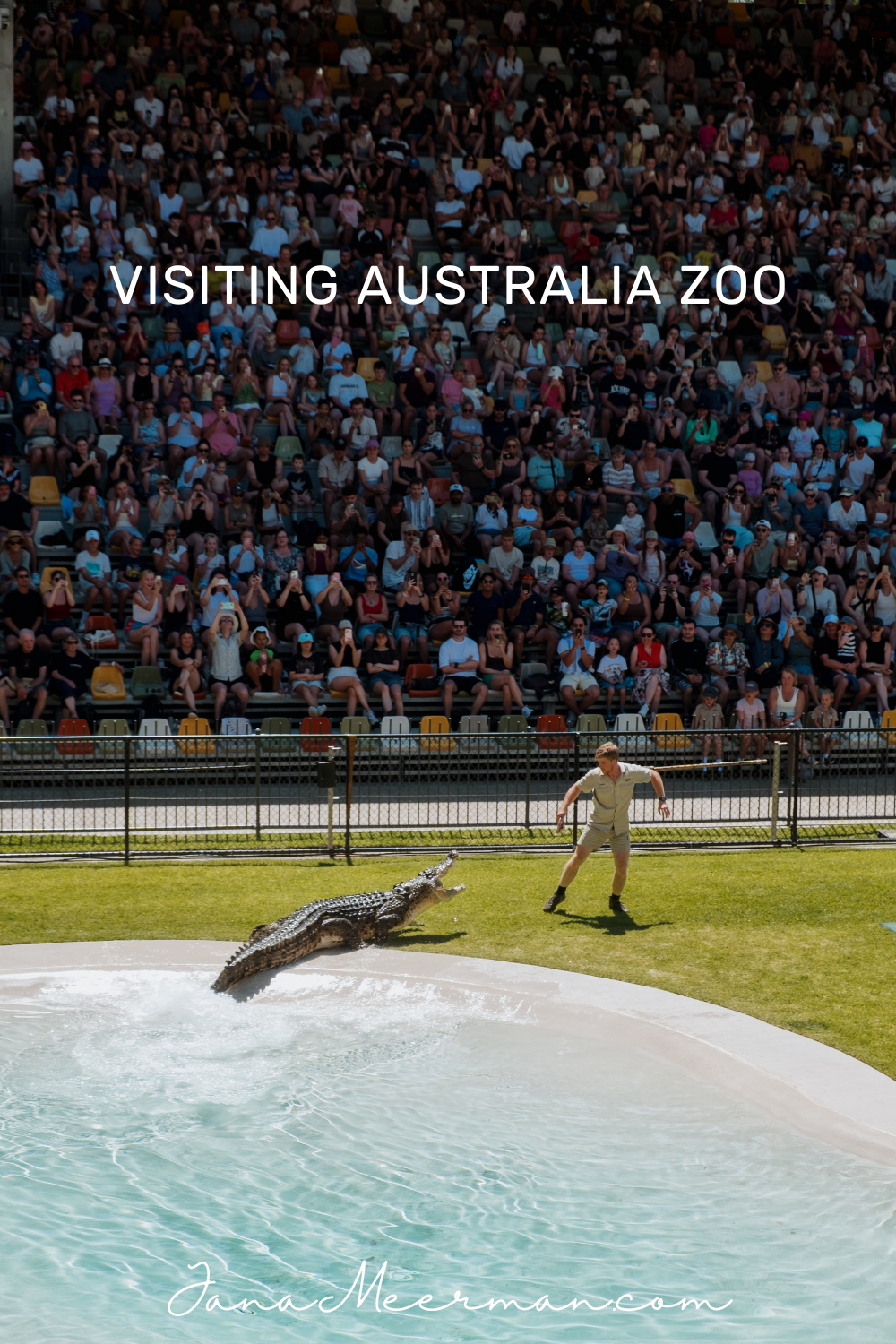 australia zoo (3)