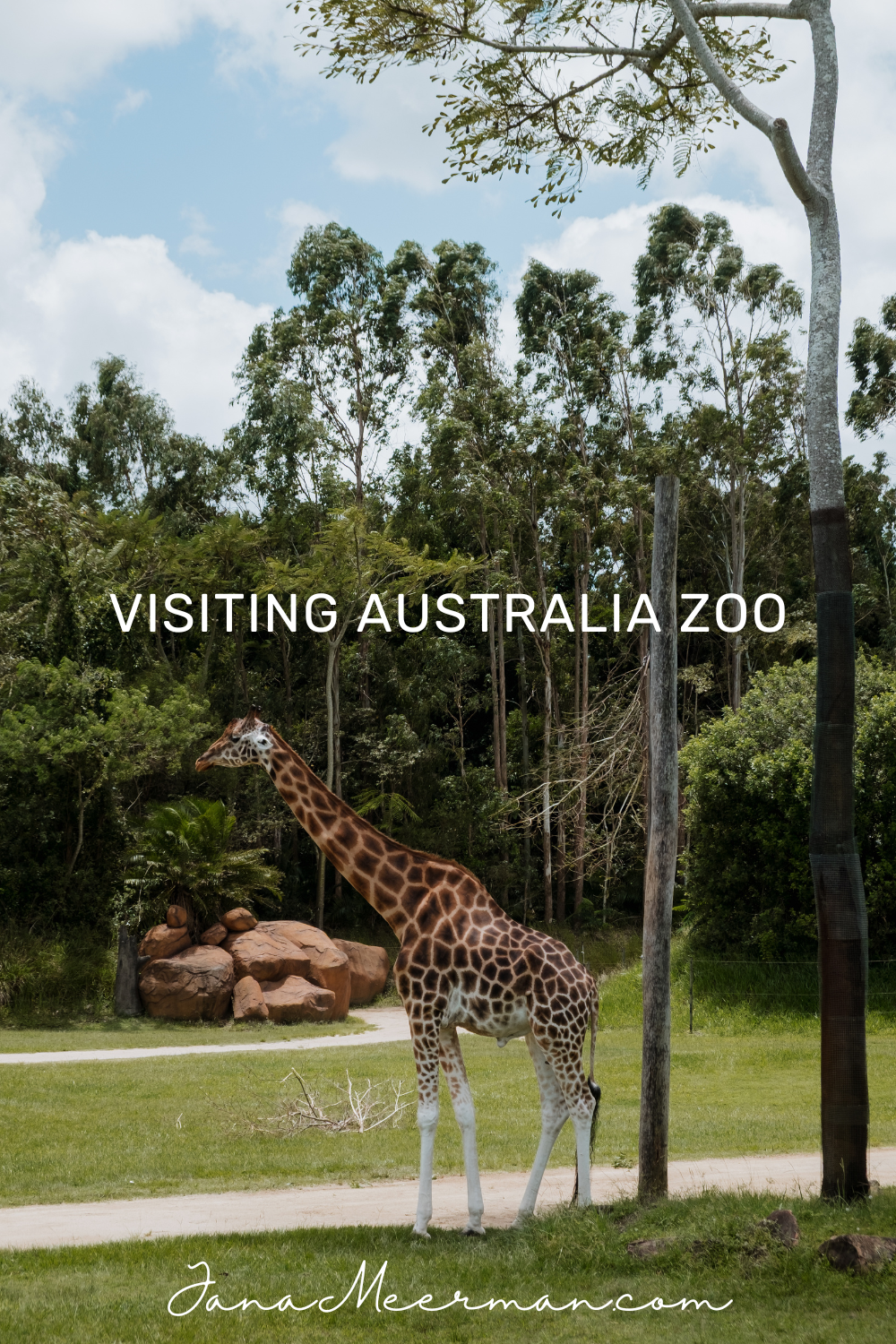 australia zoo (3)