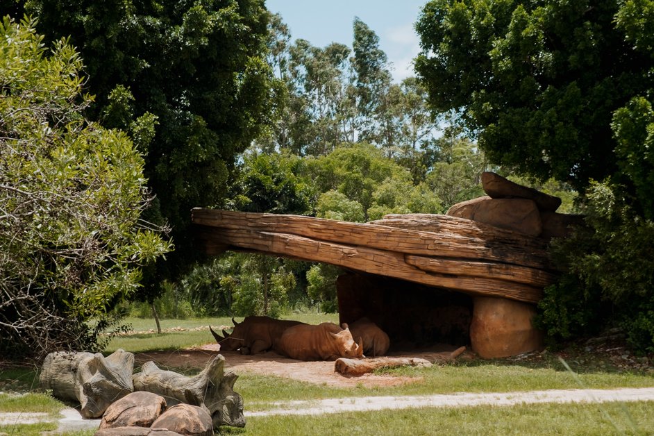 jana meerman australia zoo-1