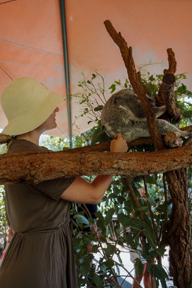 jana meerman australia zoo-1
