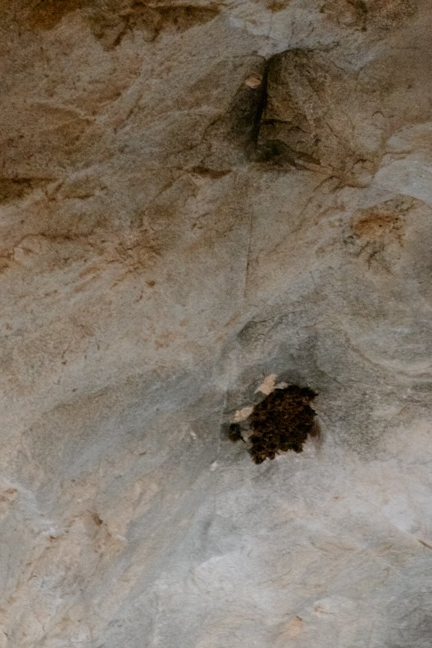 jana meerman boolboonda bat tunnel australia-3