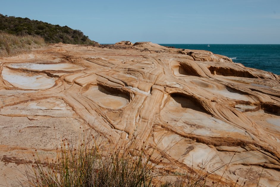 jana meerman bouddi coastal walk national park australia-1