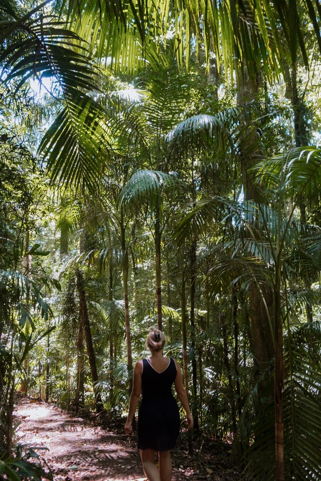 jana meerman dorrigo national park gondwana rainforest australia-13