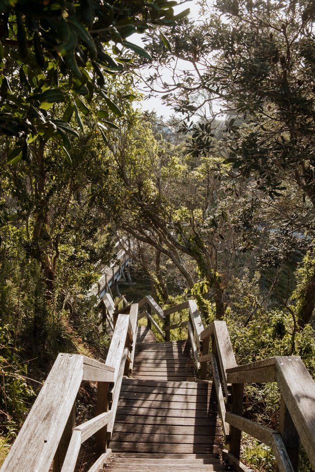 jana meerman flagstaff lookout port macquarie australia-4