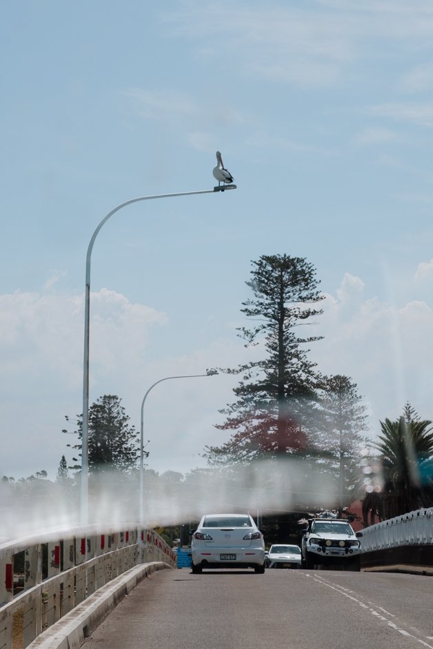 jana meerman forster australia-5