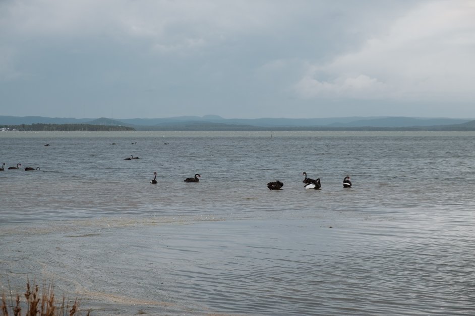 jana meerman long jetty central coast australia-1