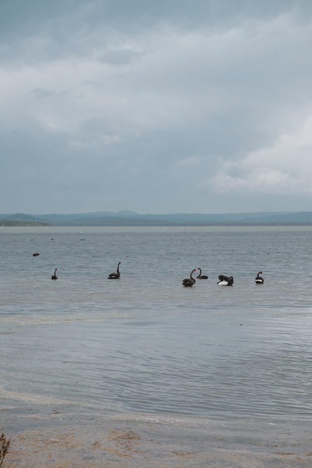 jana meerman long jetty central coast australia-4