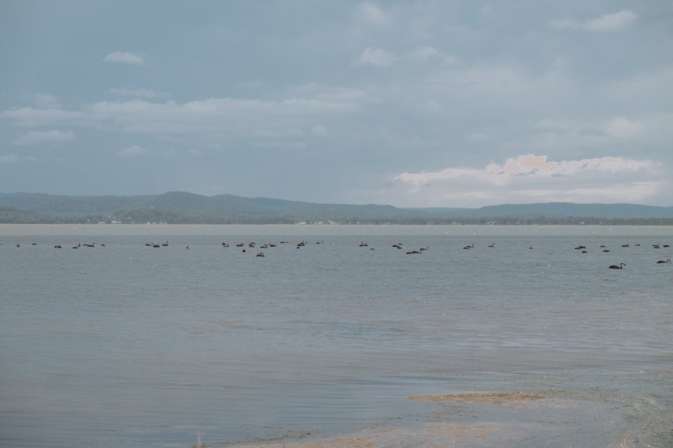 jana meerman long jetty central coast australia-4