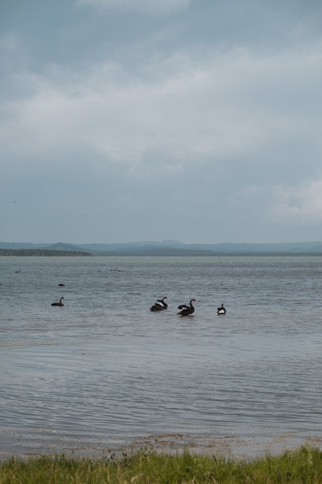 jana meerman long jetty central coast australia-4