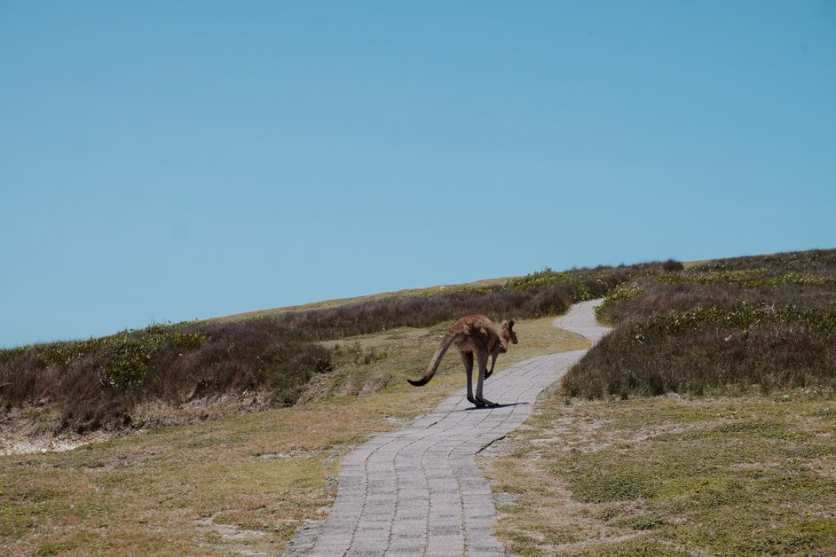 jana meerman look at me now headland emerald beach nsw australia-10