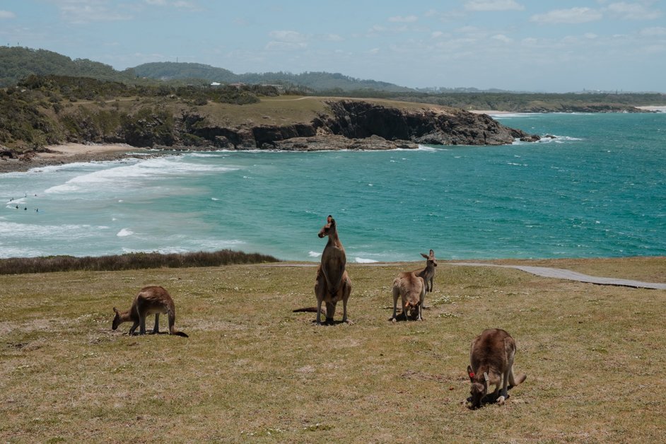 jana meerman look at me now headland emerald beach nsw australia-5