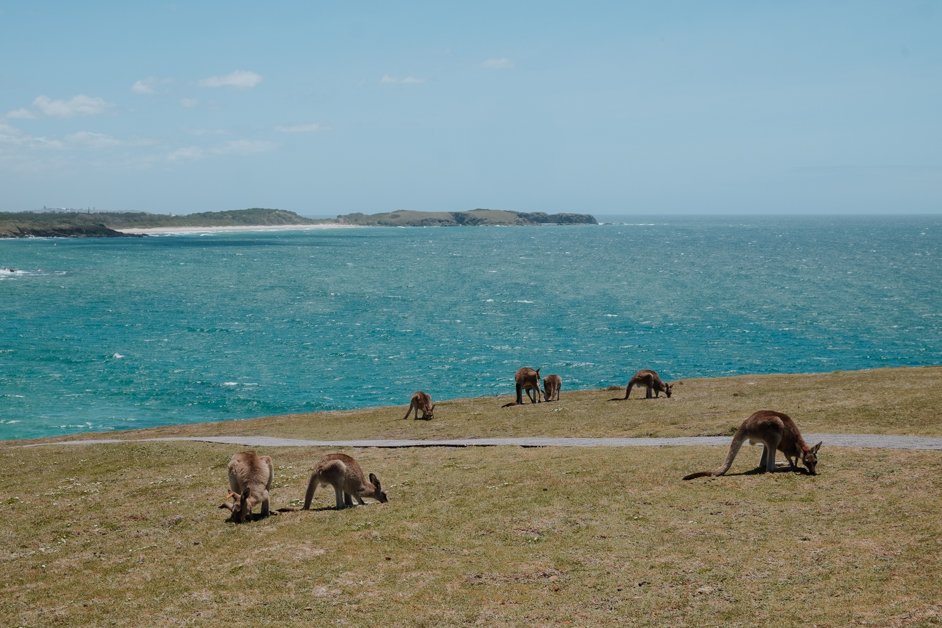 jana meerman look at me now headland emerald beach nsw australia-5
