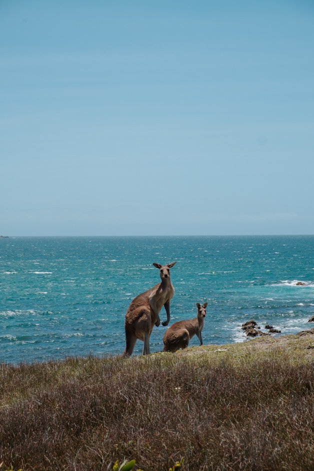 jana meerman look at me now headland emerald beach nsw australia-5