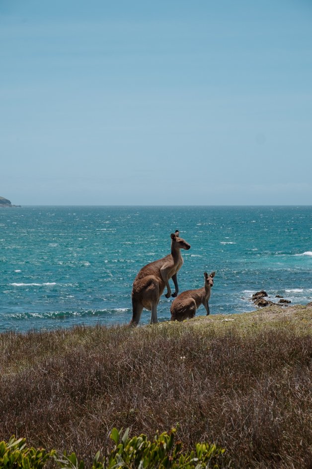 jana meerman look at me now headland emerald beach nsw australia-5