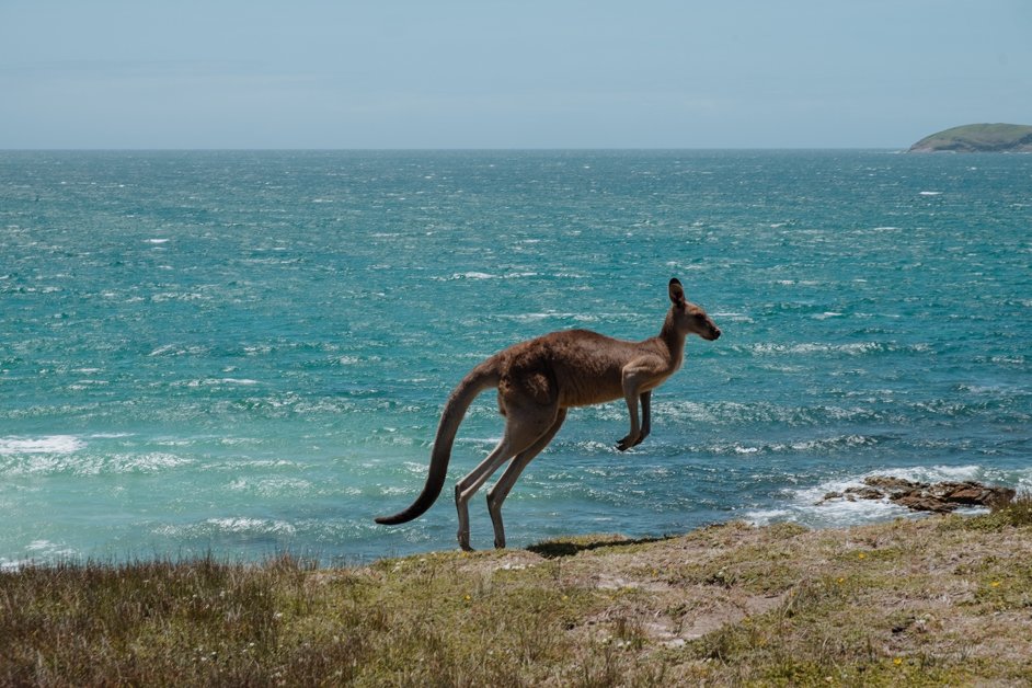 jana meerman look at me now headland emerald beach nsw australia-5