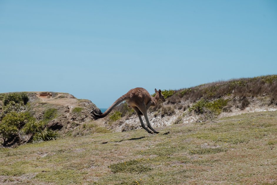 jana meerman look at me now headland emerald beach nsw australia-5