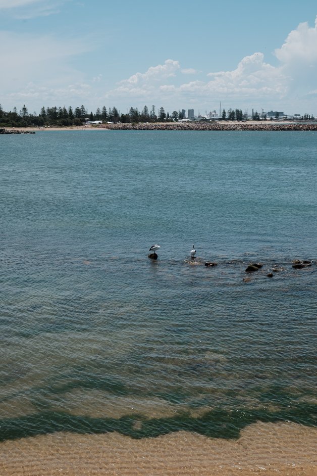 jana meerman newcastle australia-24