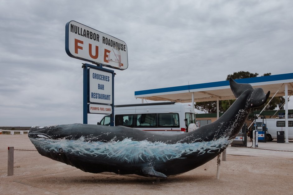 jana meerman nullarbor australia-27