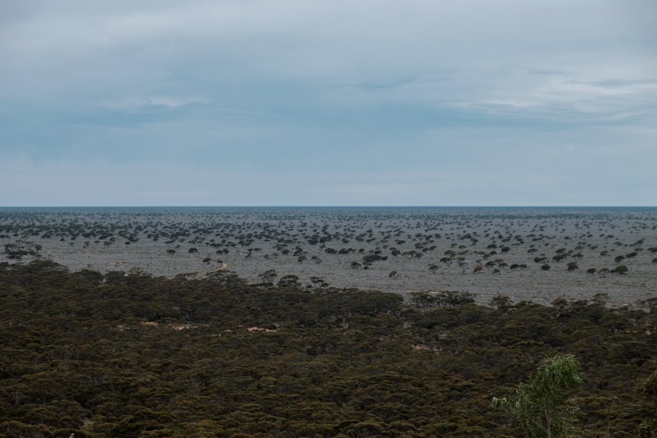 jana meerman nullarbor australia-32