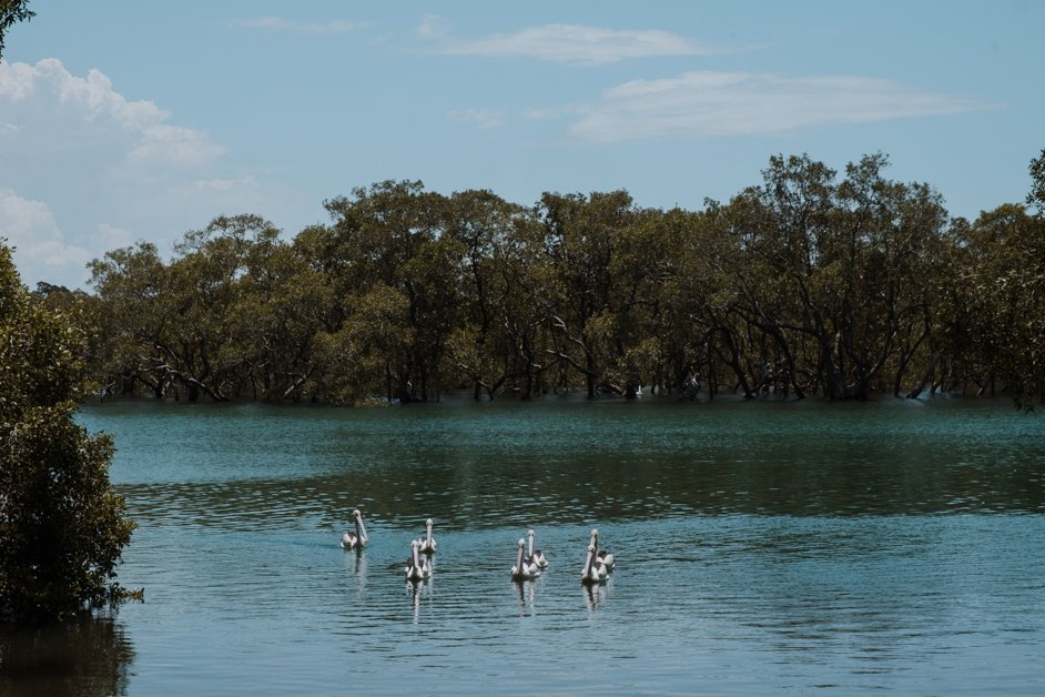 A Guide to the Macleay Valley Coast, Australia